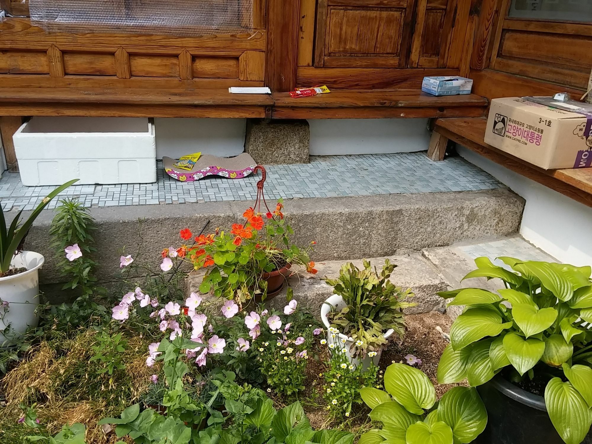 Nuri Hanok Guesthouse Seul Esterno foto
